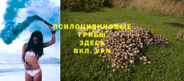 молекула духа Абинск