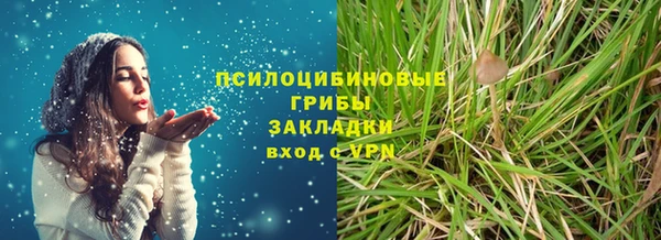 стаф Новозыбков