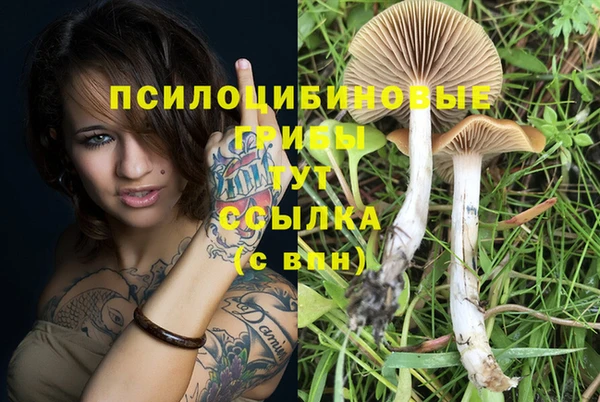 молекула духа Абинск