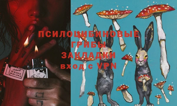 дживик Новодвинск