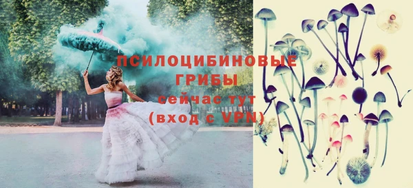 ECSTASY Абдулино