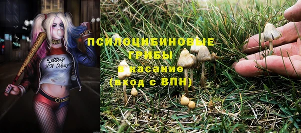 apvp Новокубанск