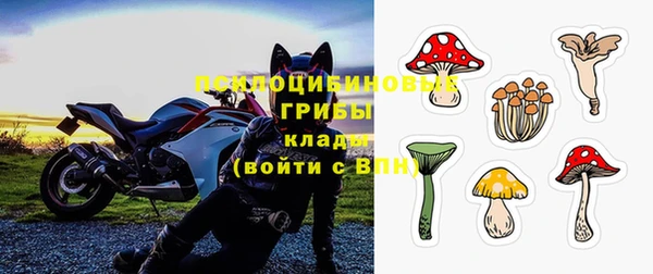 молекула духа Абинск
